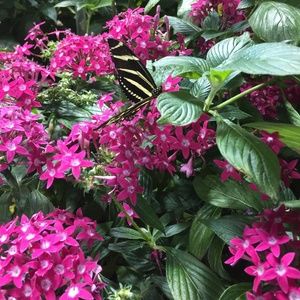 Meet your Posher, Pamela